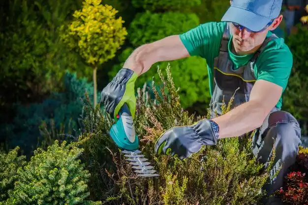 landscaping services Standing Pine